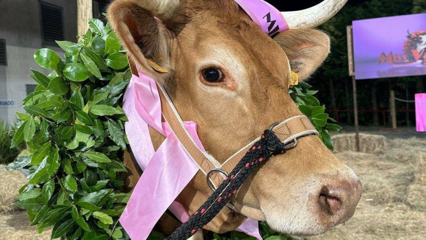 Ganadora de Miss Vaca en 2024