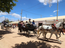 El lunes de Feria, en imágenes