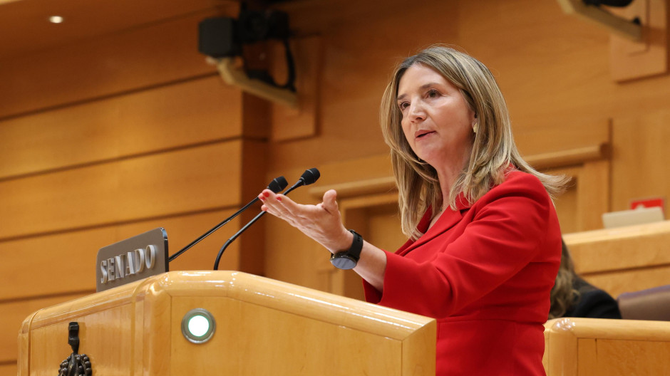 La portavoz del PP en el Senado, Alicia García
