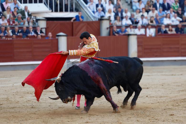 Tomás Rufo da un pase a uno de los reses de Garcigrande