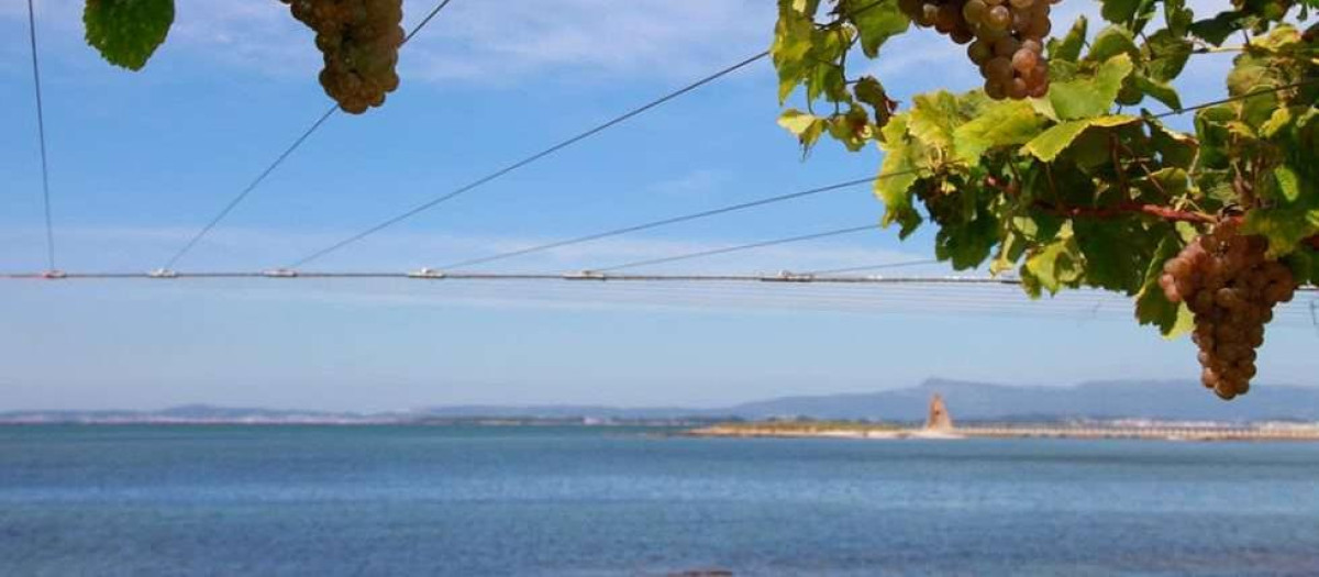La bodega en Galicia que ha conquistado al National Geographic