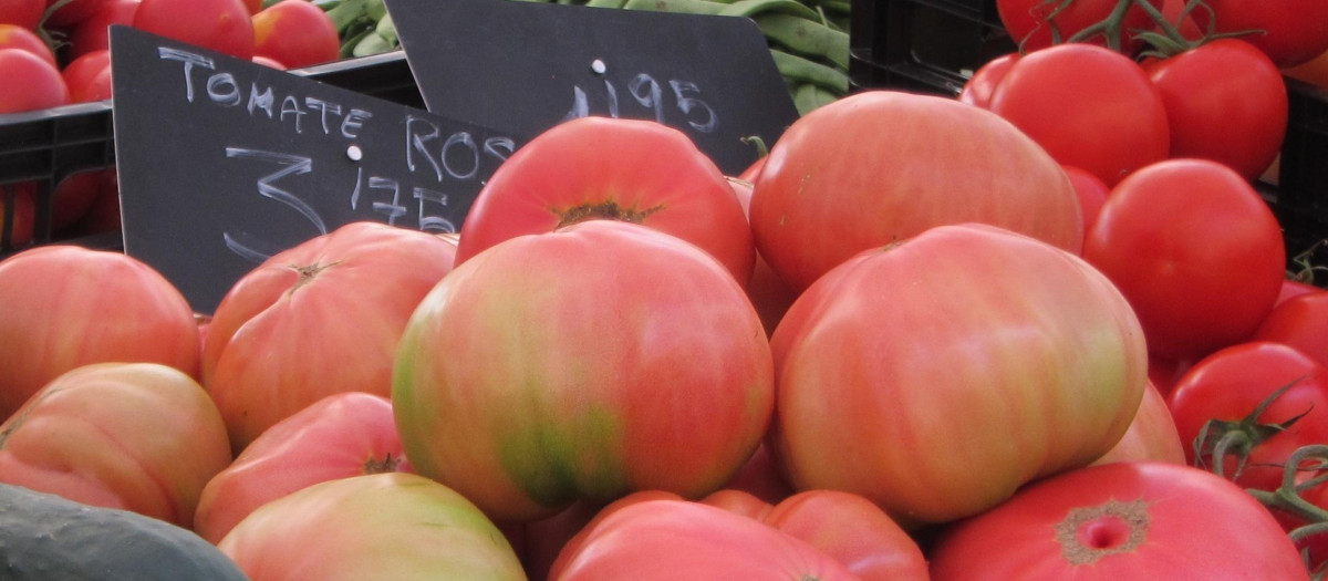 Tomate rosa de Barbastro en un puesto de Aragón