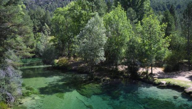 Una de las piscinas naturales de Madrid