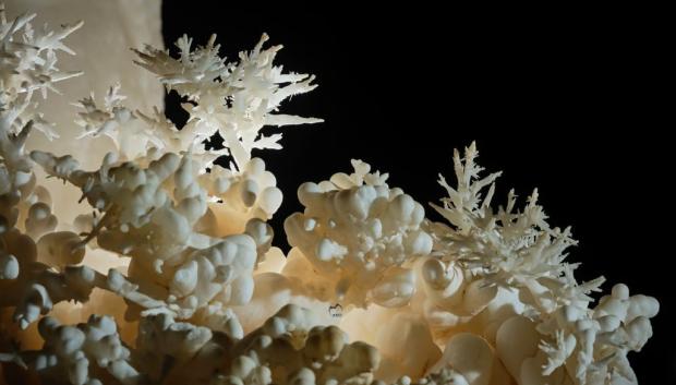 Flores y uvas de cristal blanco como la nieve se encuentran entre la riqueza de las formaciones cavernosas del sitio