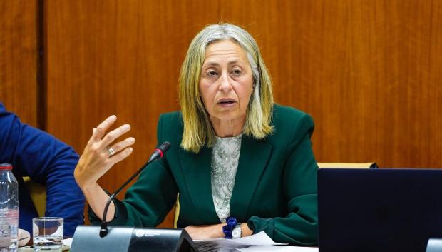 La consejera de Salud y Consumo, Rocío Hernández, en comisión parlamentaria