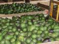 Caja de aguacates